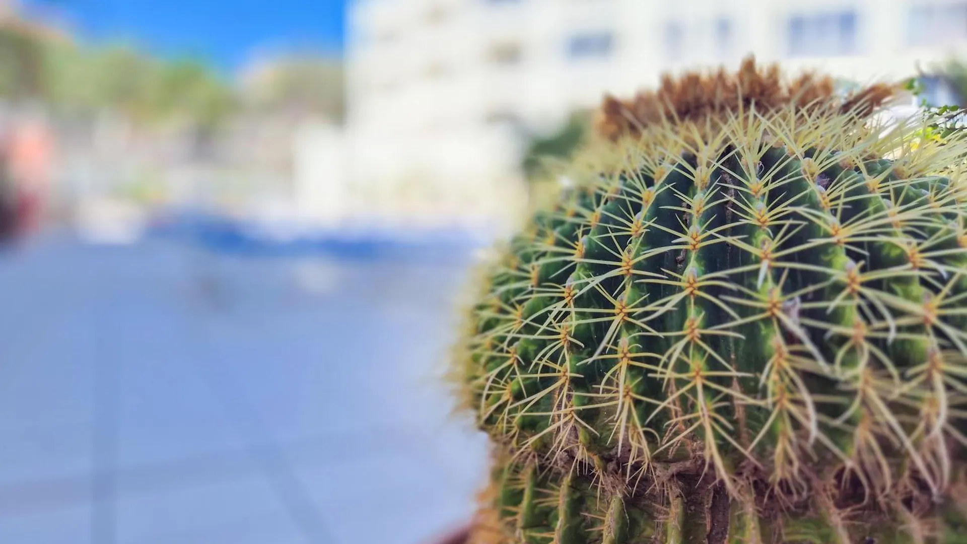 Mona'S Point Tenerife - Aircon, Private Parking And Heated Pool San Miguel de Abona 0*,  Hiszpania